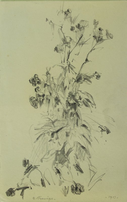 1913 - Cespuglio con fiori